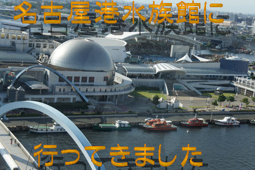 名古屋港水族館.jpg