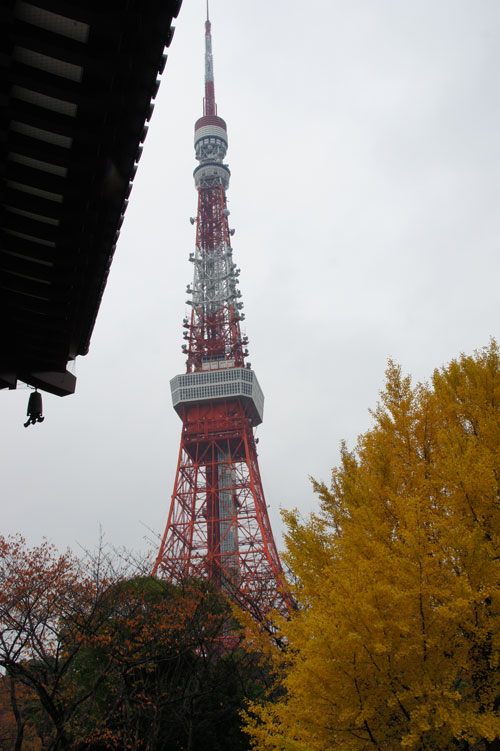 東京タワー2.jpg